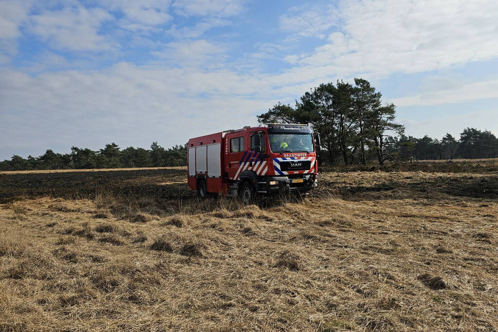 Eerste zeer grote brand in heidegebied een feit