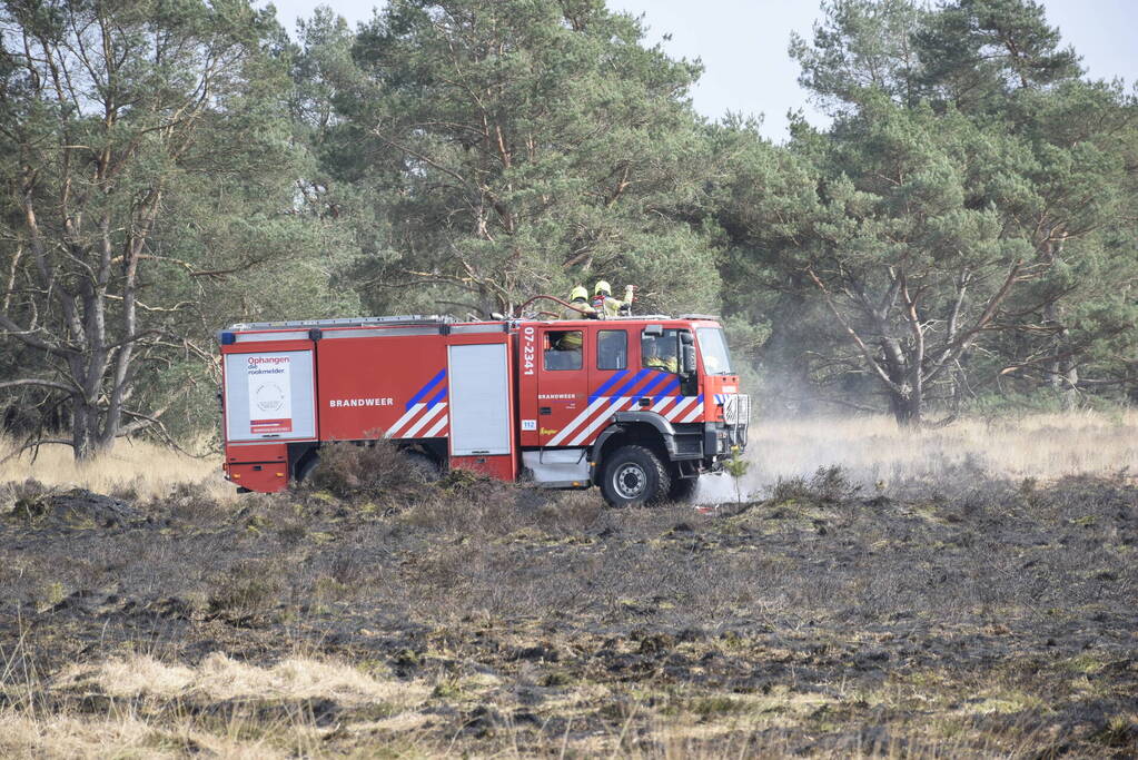 Eerste zeer grote brand in heidegebied een feit