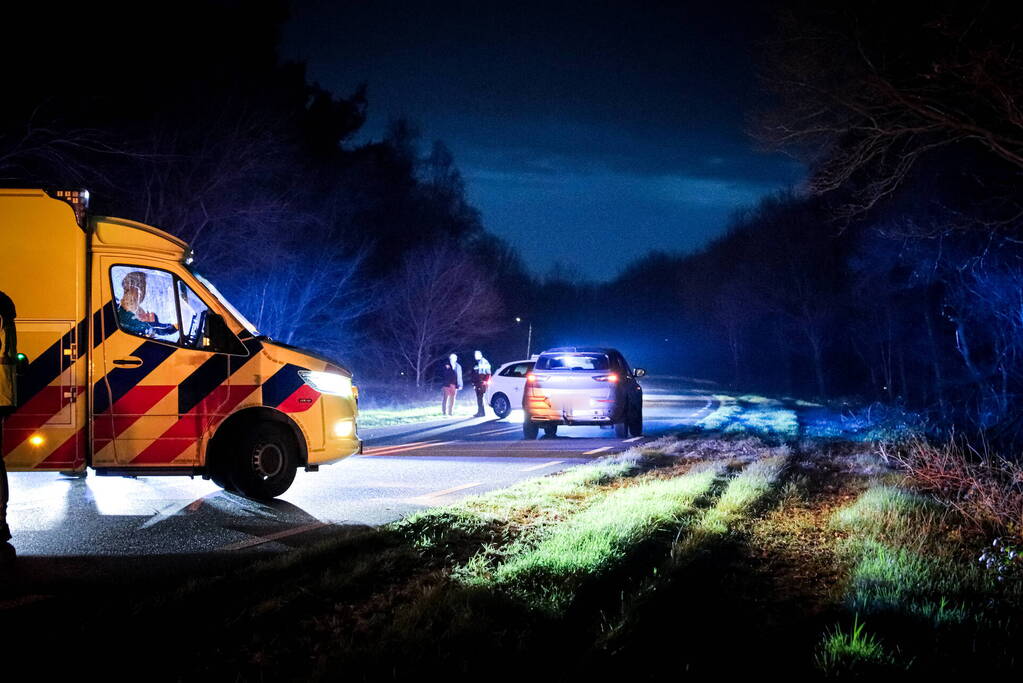 Meerdere auto's botsen op elkaar na uitwijkmanoeuvre overstekende reeën