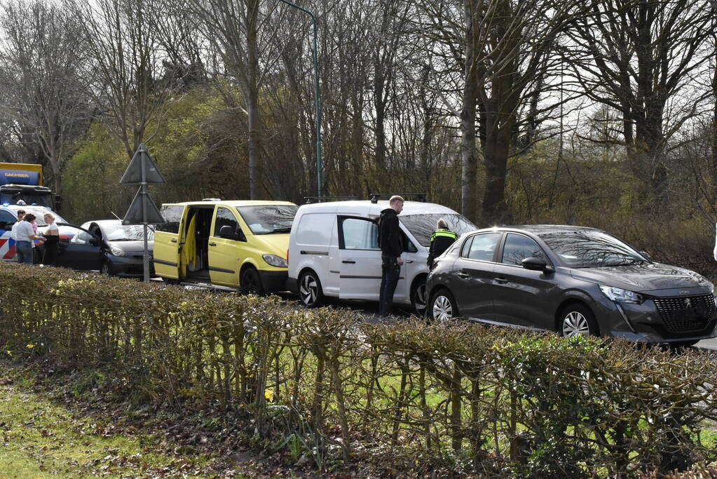 Kop-staartbotsing meerdere voertuigen dieren uit hun benarde positie bevrijdt