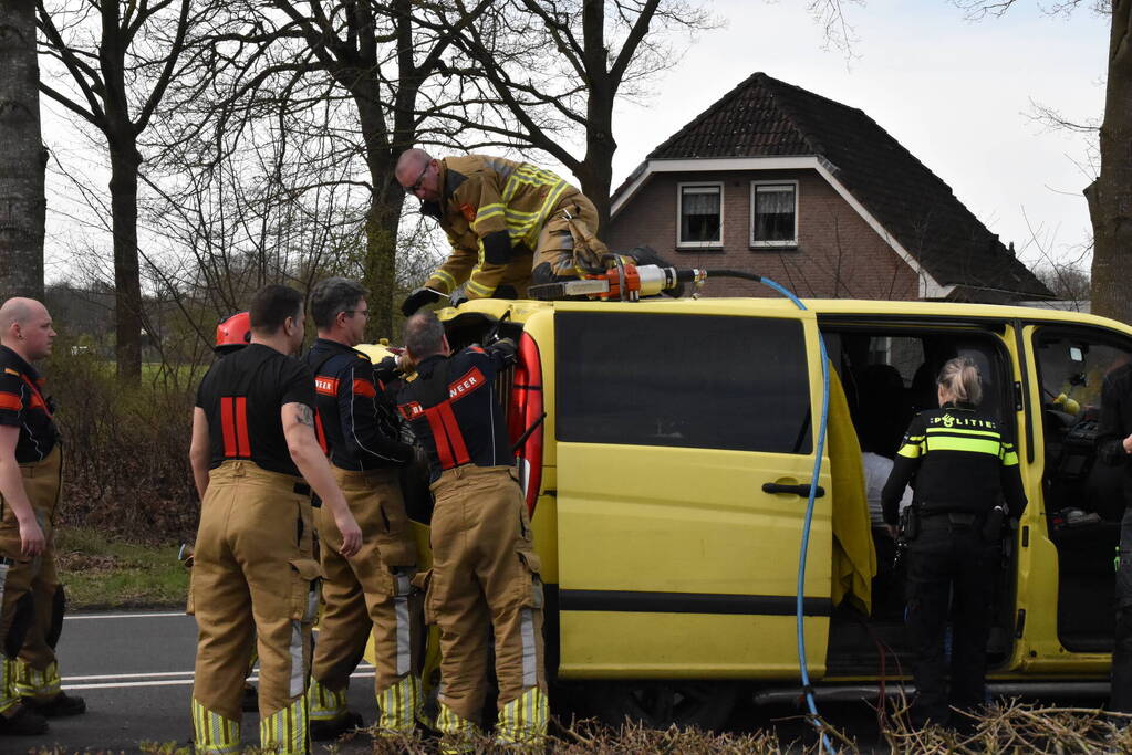 Kop-staartbotsing meerdere voertuigen dieren uit hun benarde positie bevrijdt