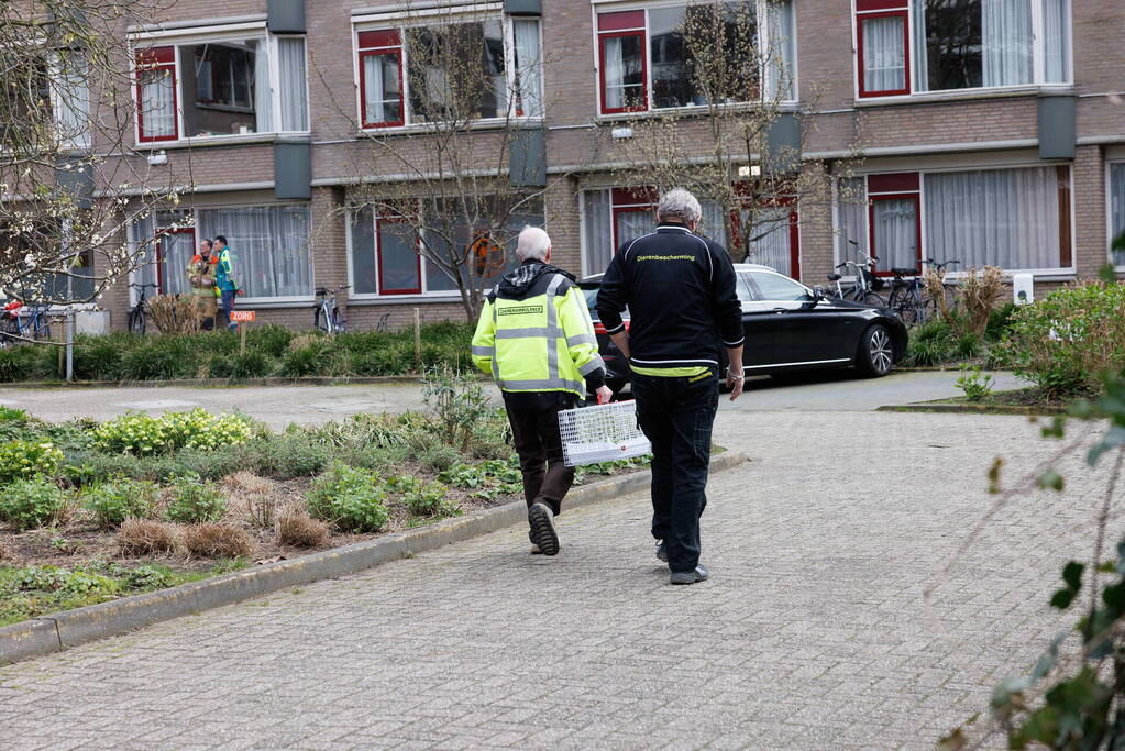 Bewoner uit brandend huis gehaald, veel schade