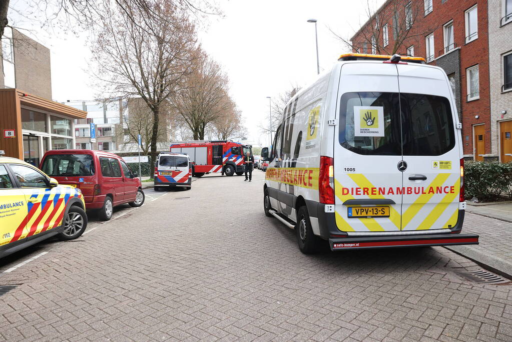 Bewoner uit brandend huis gehaald, veel schade