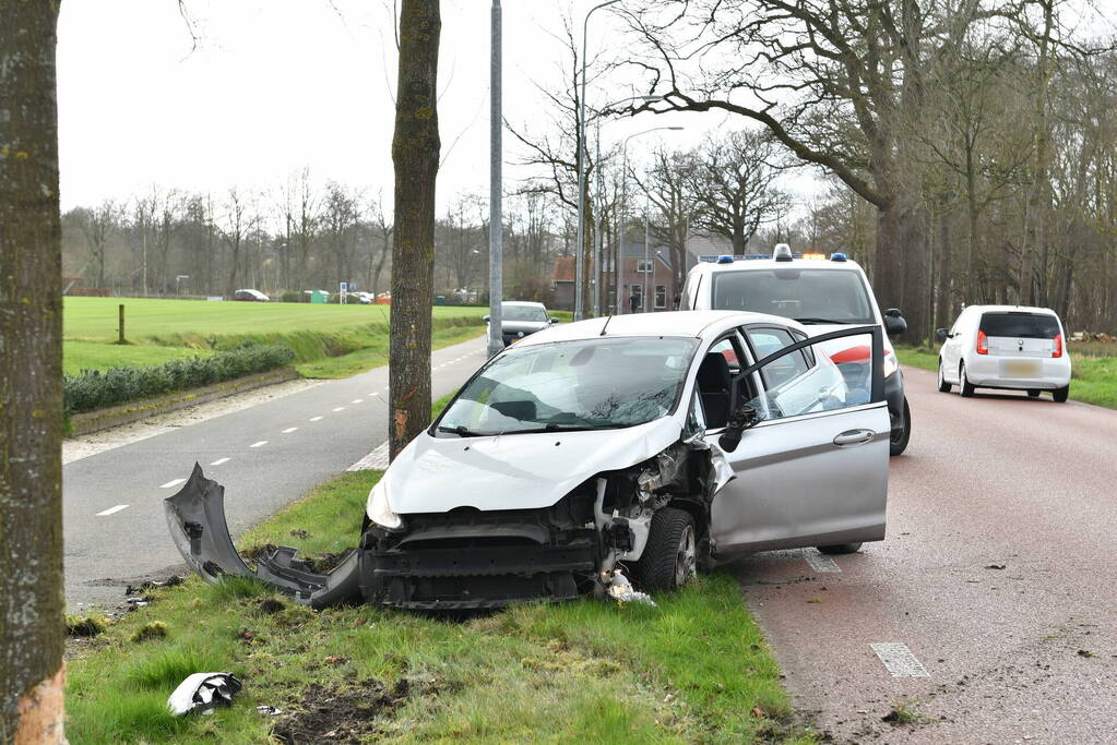 Flinke schade nadat auto botst tegen boom klapt