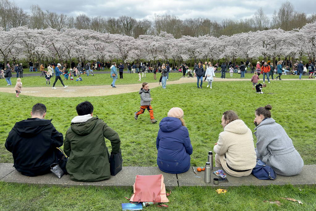 Veel bezoekers in het Kersen-Bloesempark