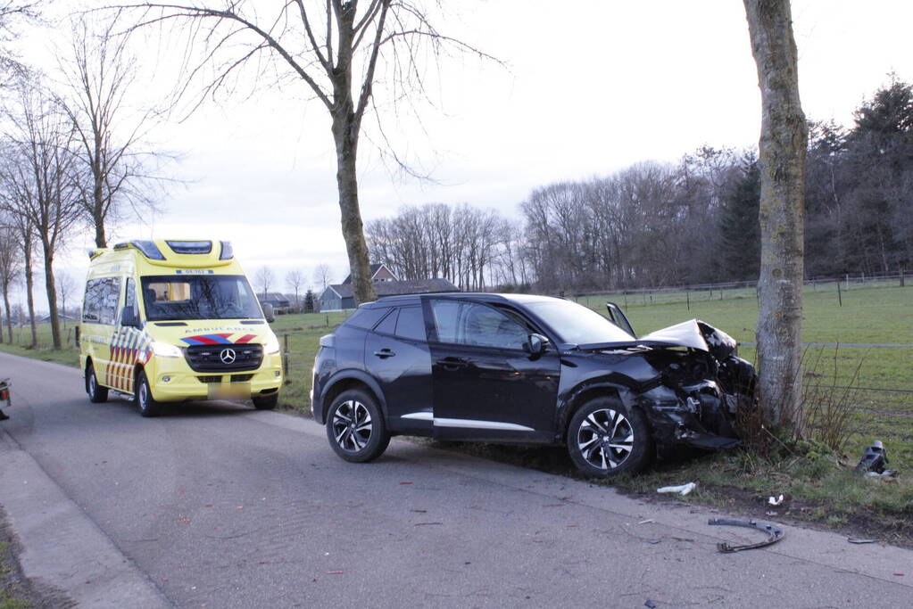 Automobilist botst frontaal op boom