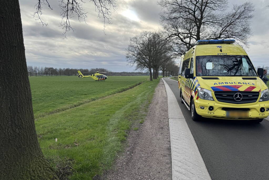 Traumateam ingezet nadat man uit boom valt