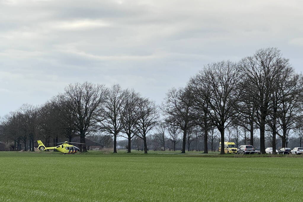 Traumateam ingezet nadat man uit boom valt