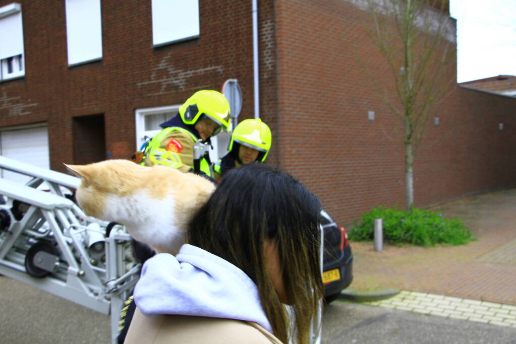 Brandweer haal kat na twee dagen van dak