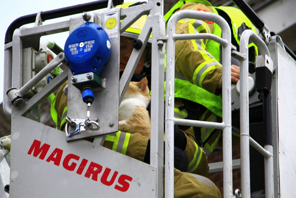 Brandweer haal kat na twee dagen van dak