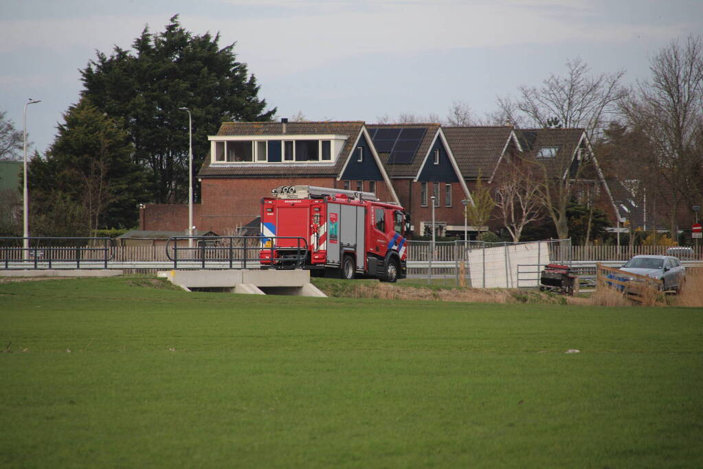 Paard muurvast in modderpoel