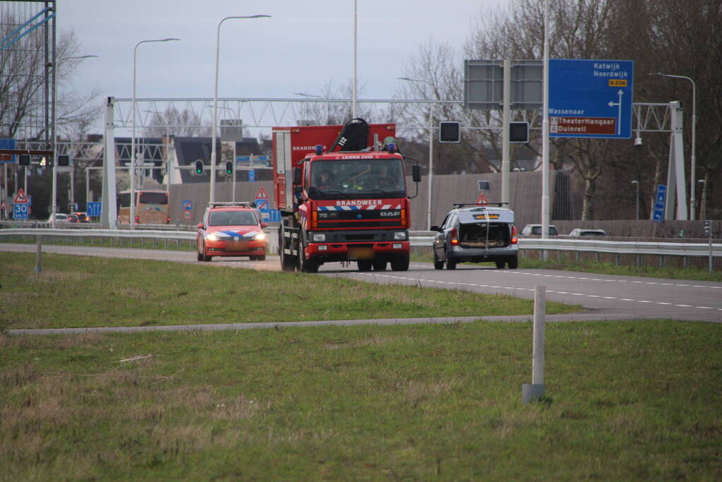 Paard muurvast in modderpoel