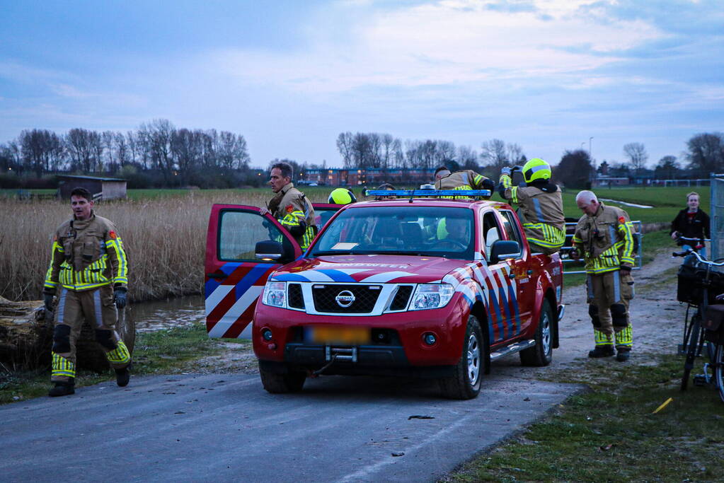 Paard muurvast in modderpoel