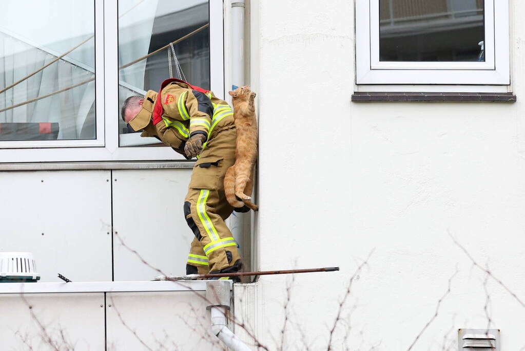 Poes springt van dak tijdens reddingsactie brandweer