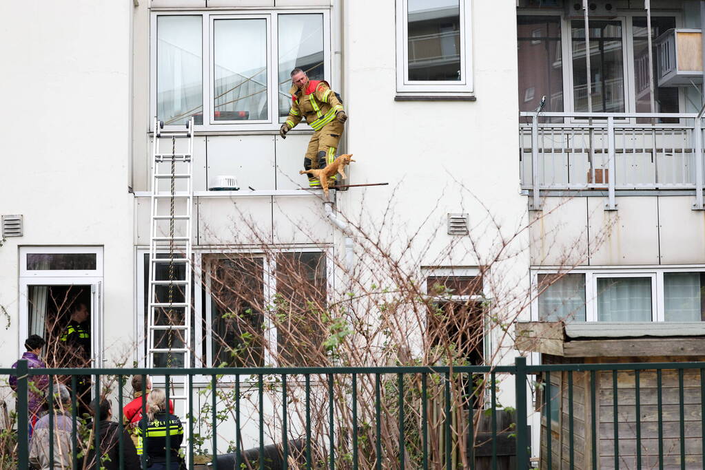 Poes springt van dak tijdens reddingsactie brandweer