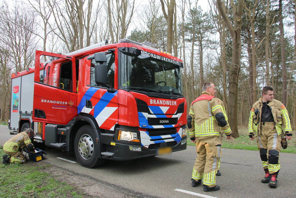 Brandweer bevrijdt schaap uit benarde positie