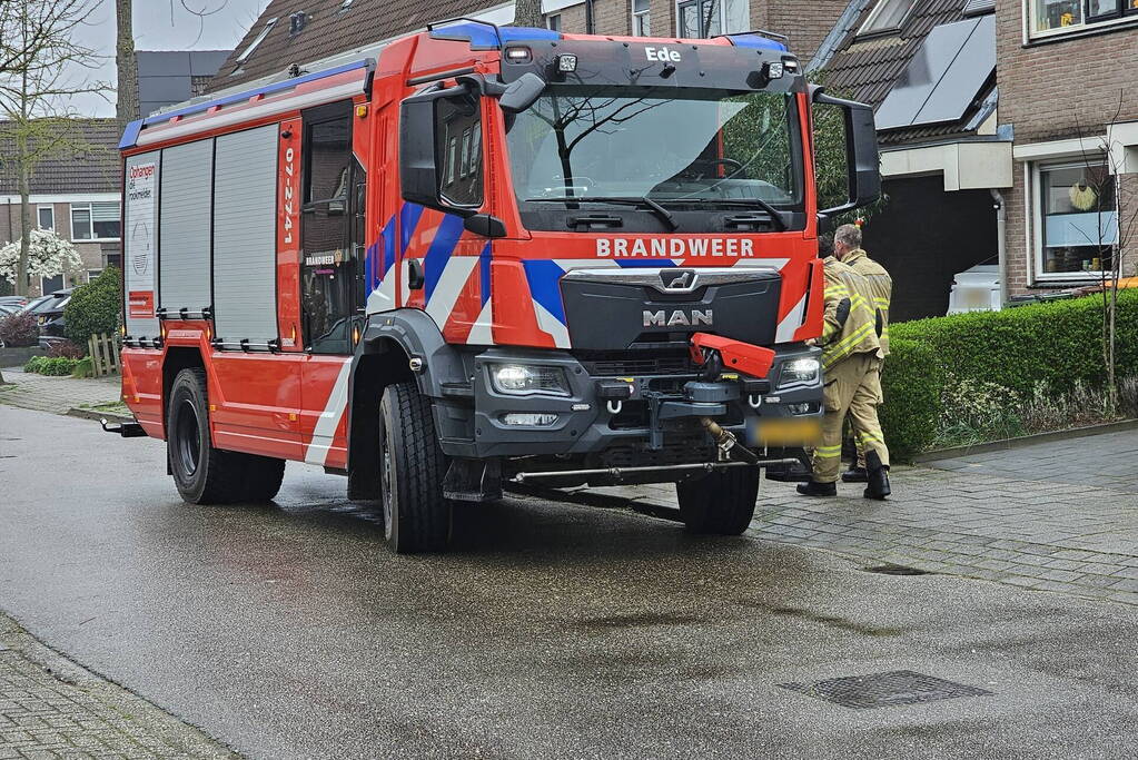 Brandweer schudt kat uit boom