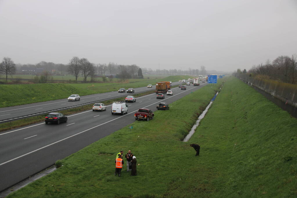 Kop-staartbotsing tussen twee voertuigen op de A50