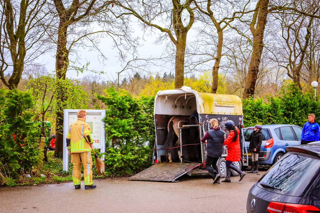 Gestresst paard wil trailer niet in