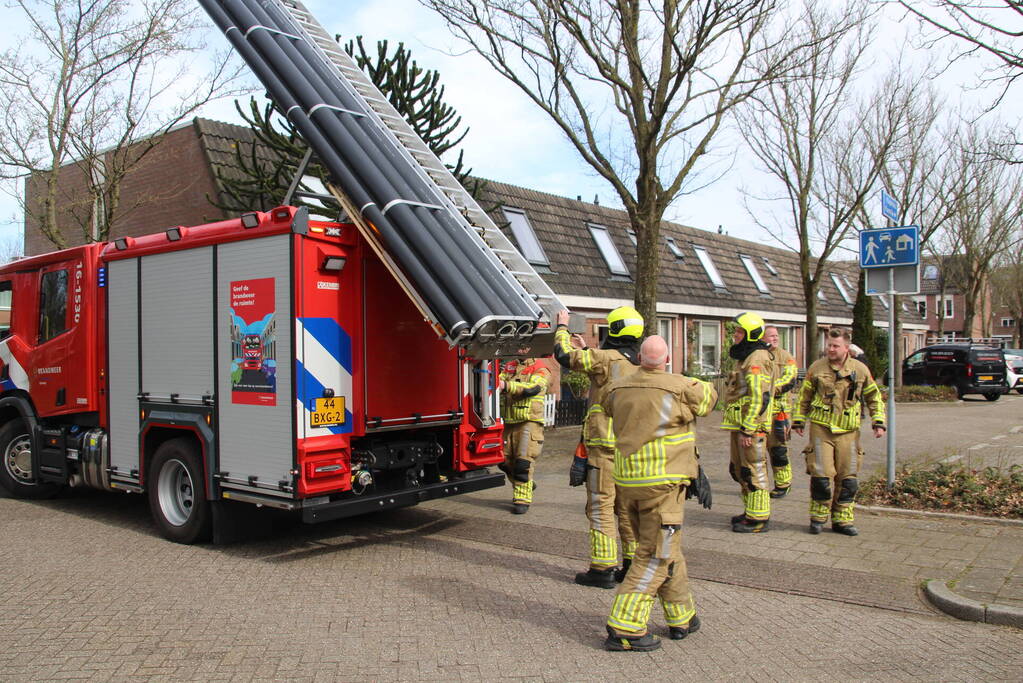 Brandweer ingezet voor vastzittende vogel