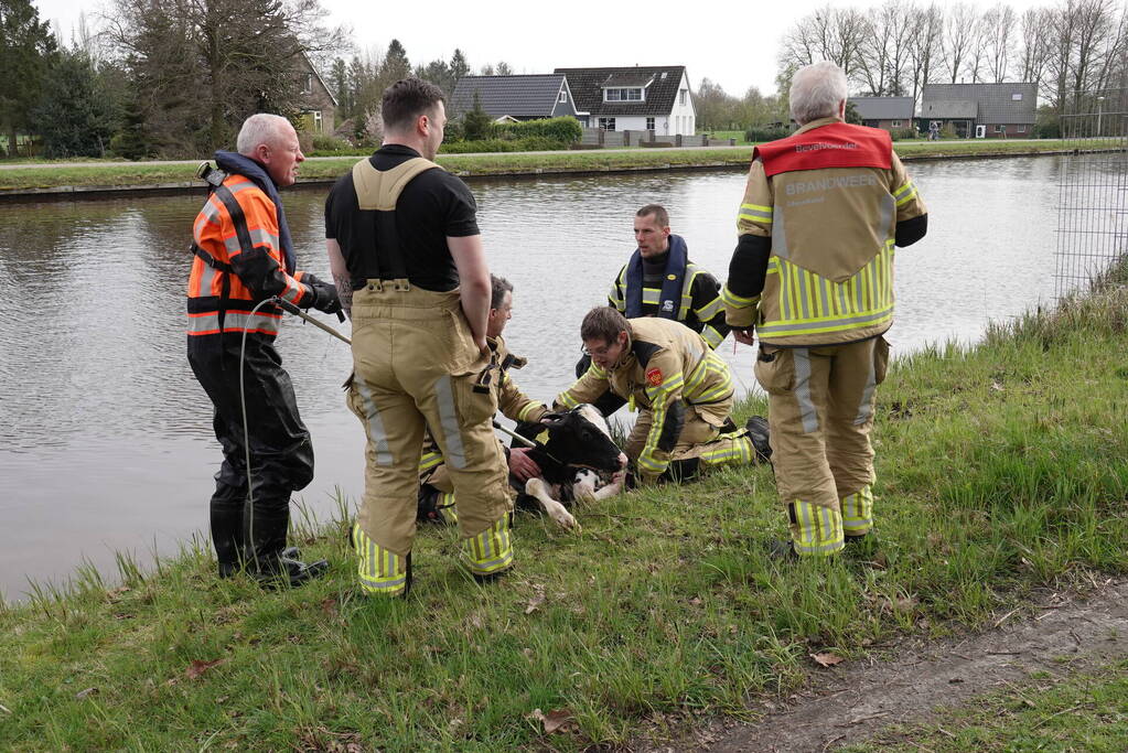 Brandweer 'vist' Pink uit water