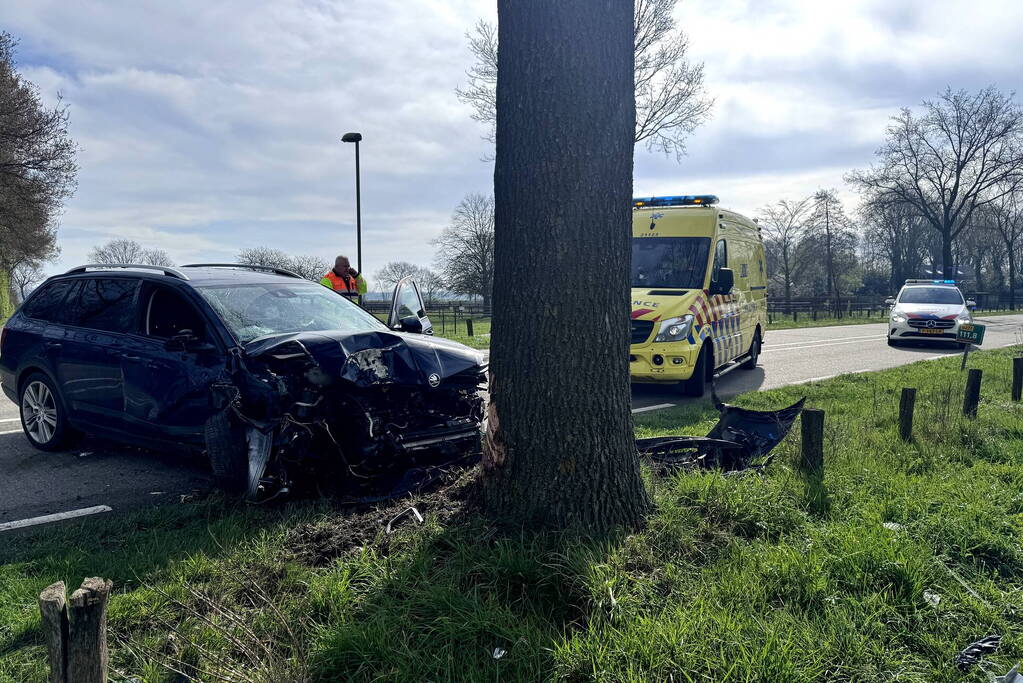 Automobilist botst frontaal op boom