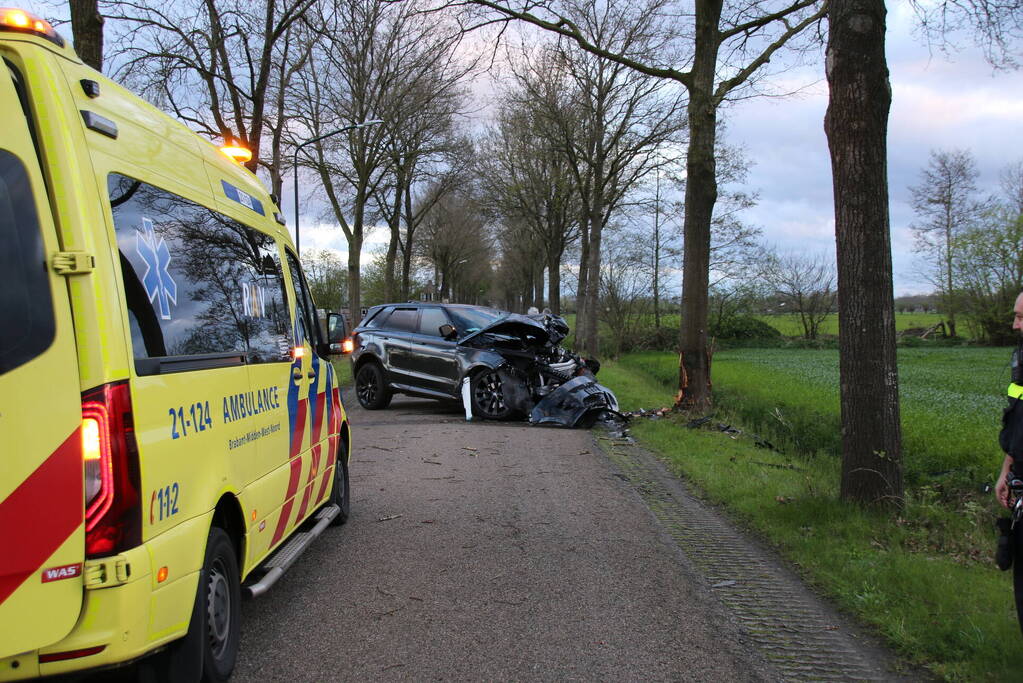 Automobilist botst frontaal op boom