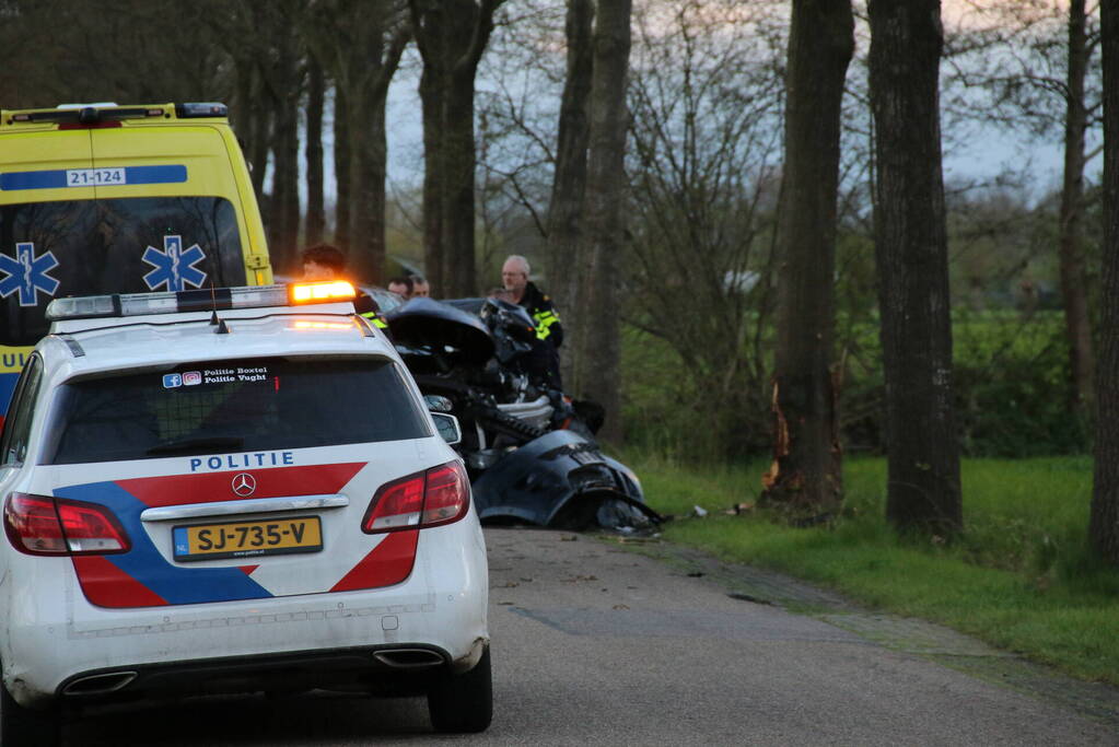 Automobilist botst frontaal op boom