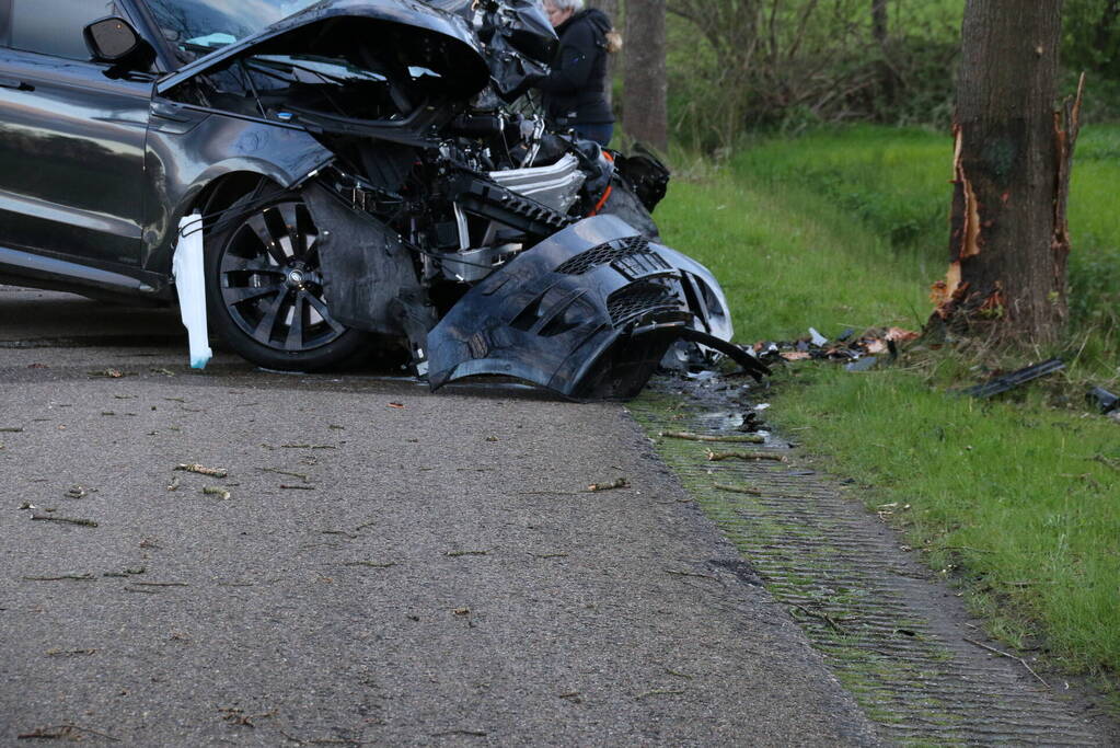 Automobilist botst frontaal op boom