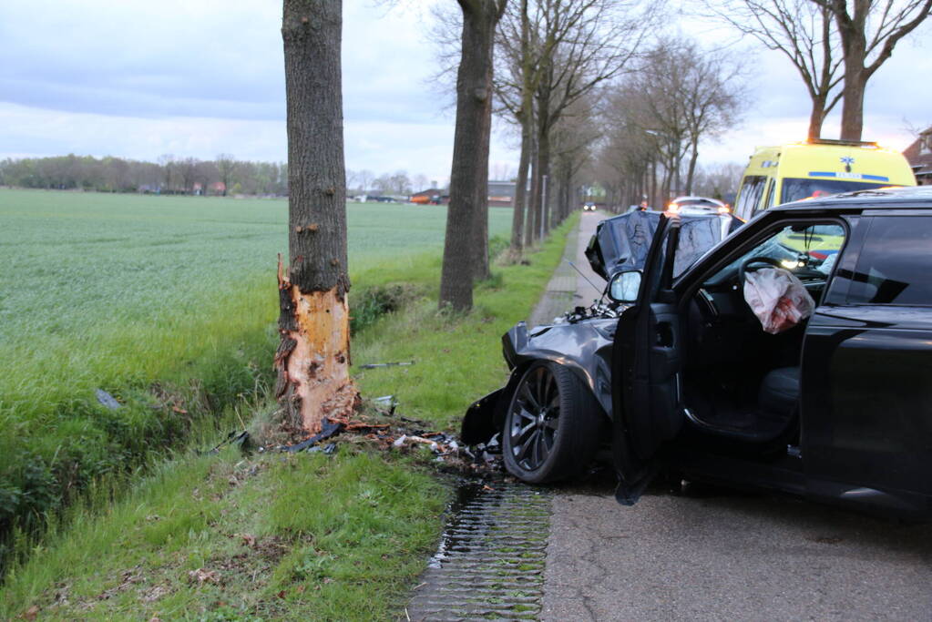 Automobilist botst frontaal op boom