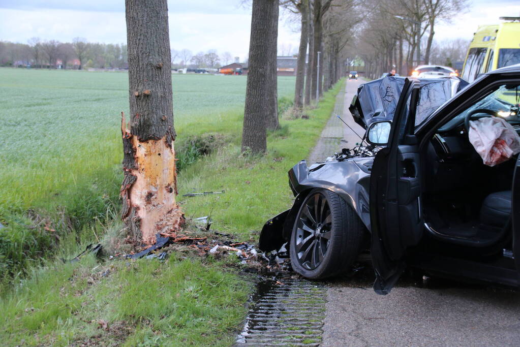 Automobilist botst frontaal op boom