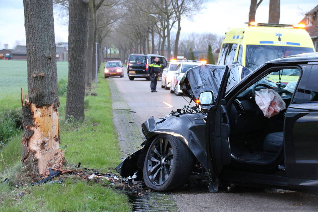 Automobilist botst frontaal op boom