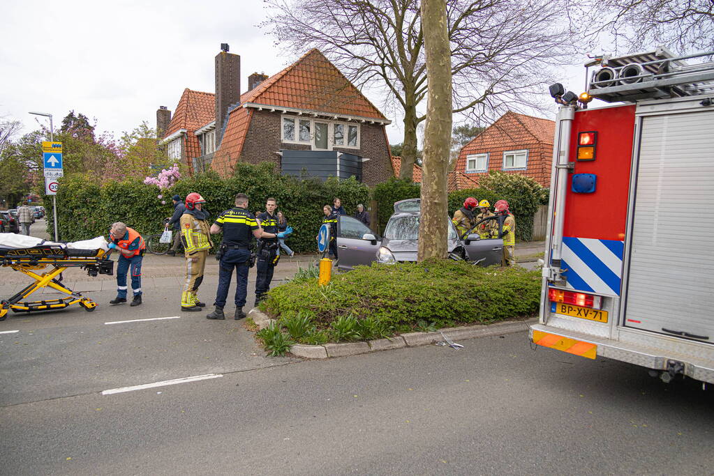 Automobilist botst tegen boom