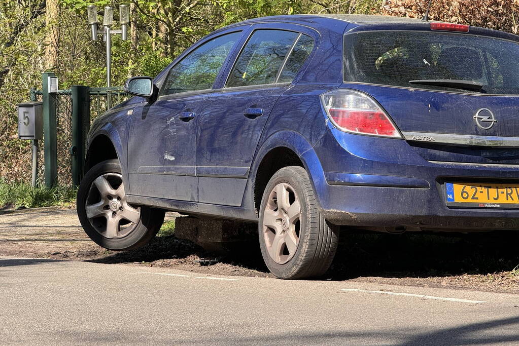 Auto loopt fikse schade op nadat deze op varkensrug rijdt