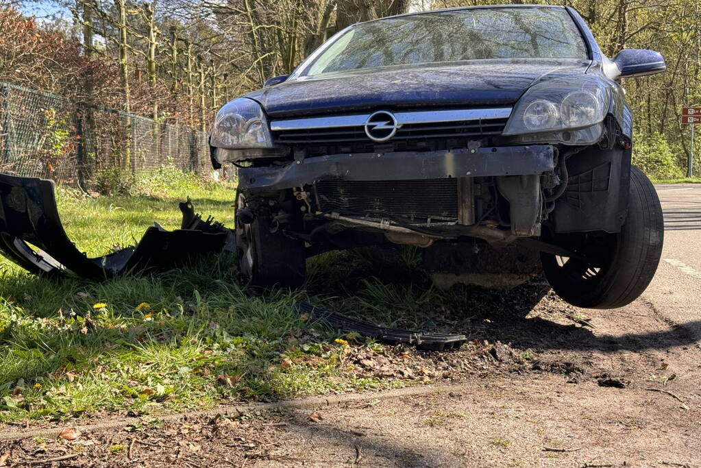 Auto loopt fikse schade op nadat deze op varkensrug rijdt