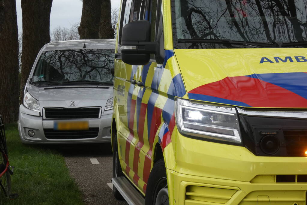 Inzittenden bestelbus gewond bij botsing tegen boom