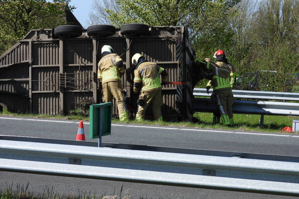 Koeien vast in gekantelde veewagen