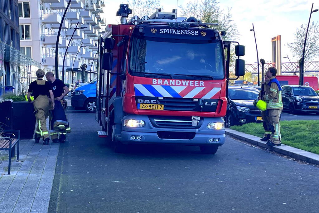 Brand in flatwoning