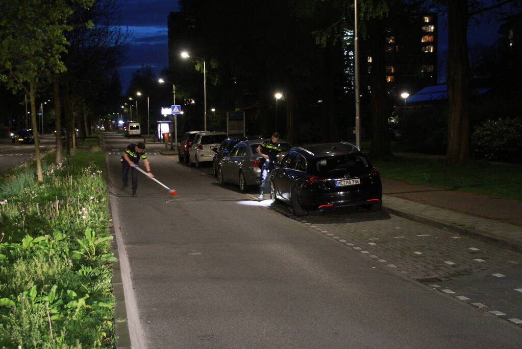 Automobilist ramt geparkeerde auto's