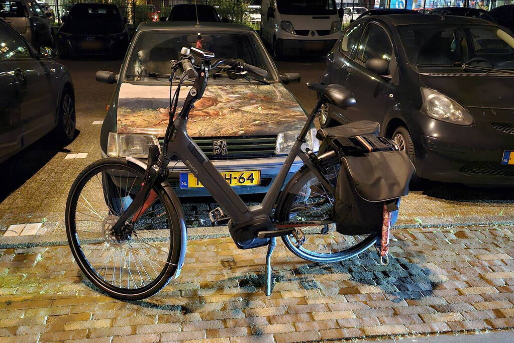 Persoon ten val met elektrische fiets