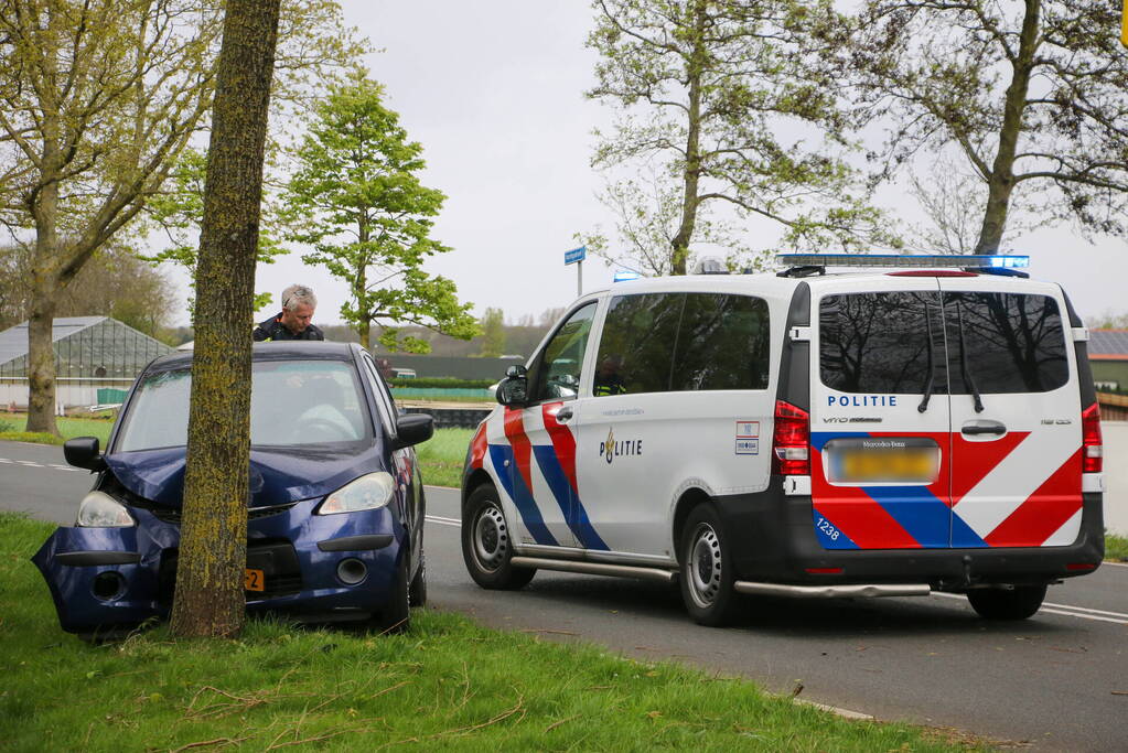 Auto klapt frontaal op boom