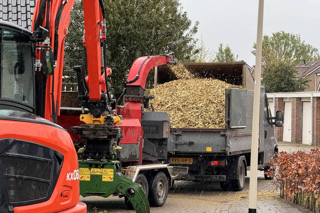 Boom breekt af na rukwinden