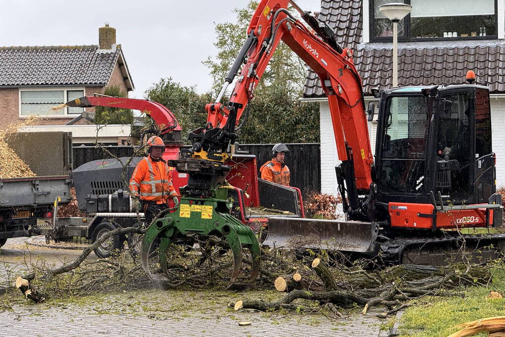 Boom breekt af na rukwinden