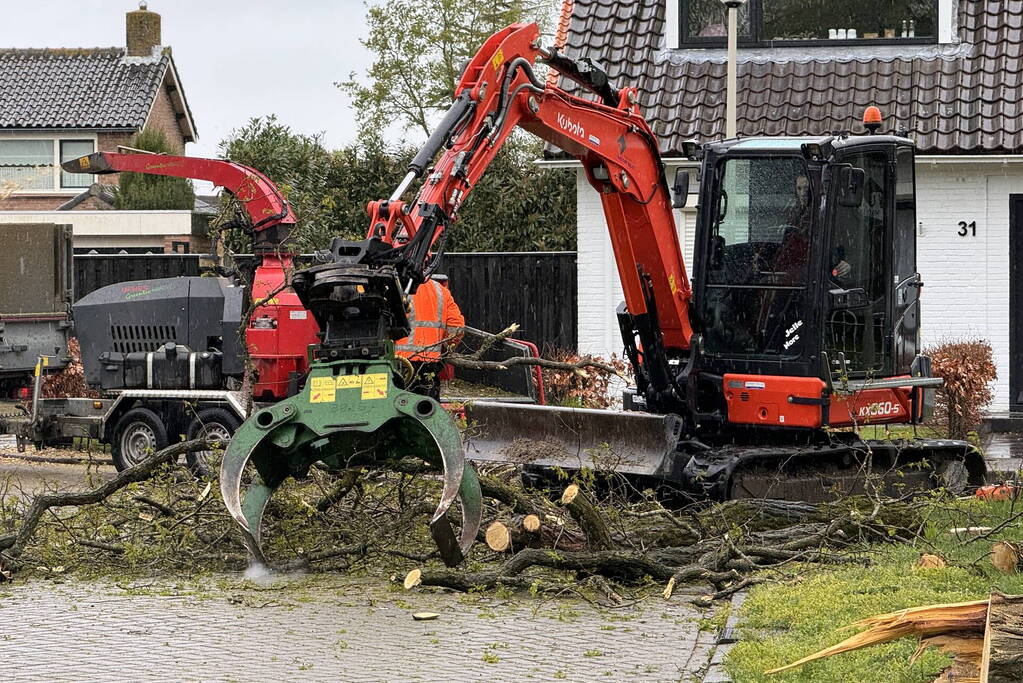 Boom breekt af na rukwinden