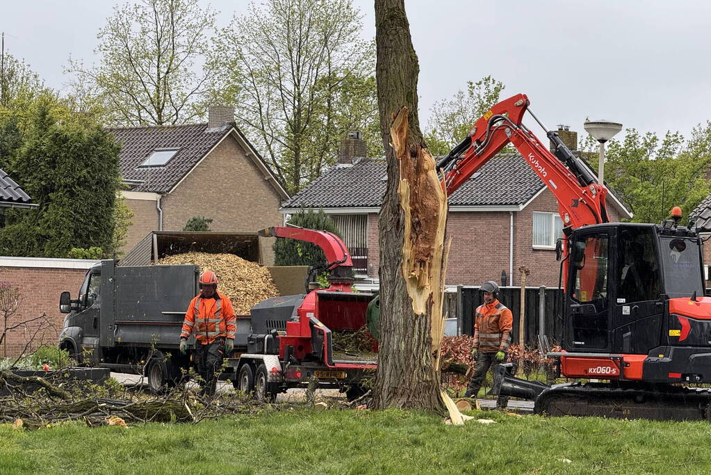 Boom breekt af na rukwinden