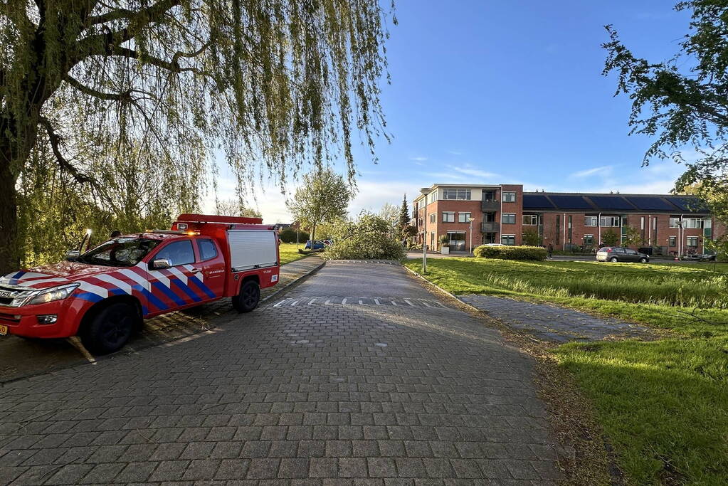 Omgewaaide boom belandt op weg