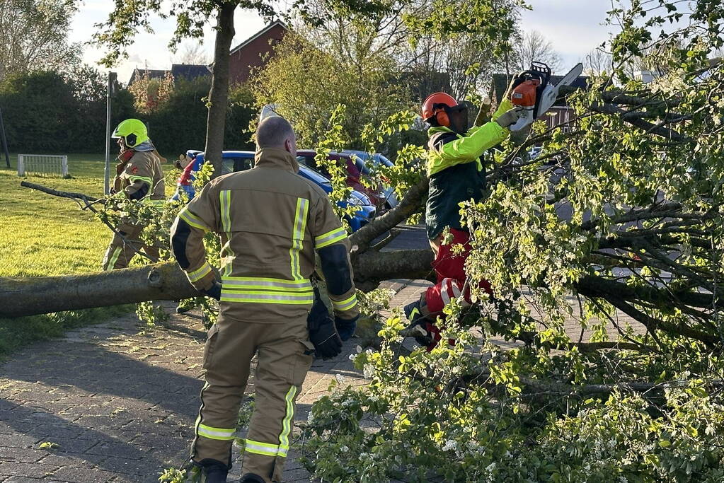 Omgewaaide boom belandt op weg