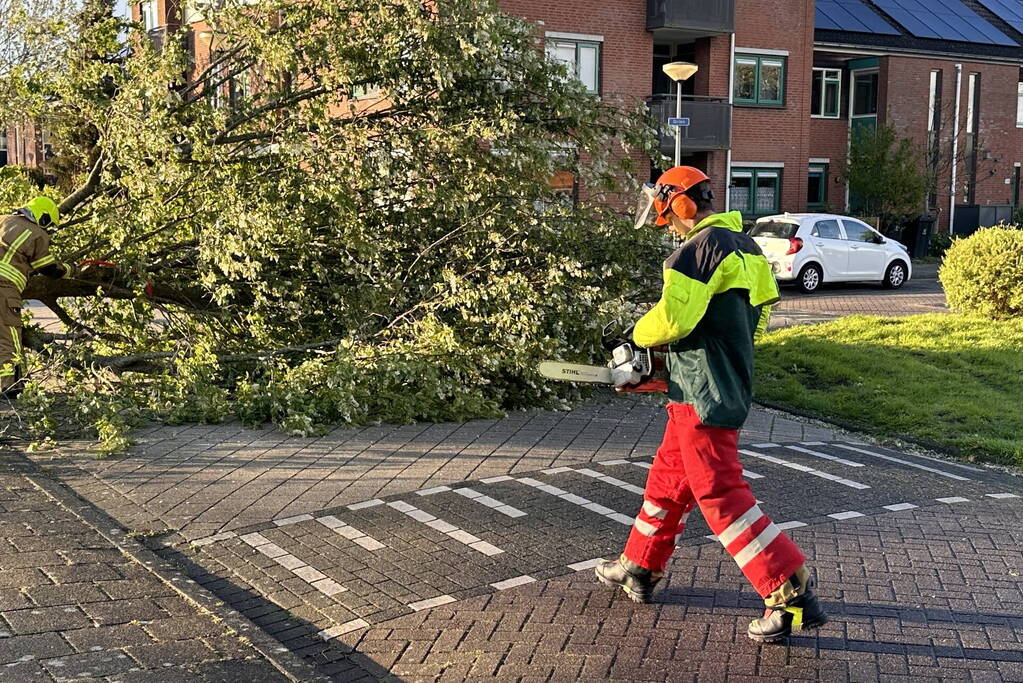 Omgewaaide boom belandt op weg