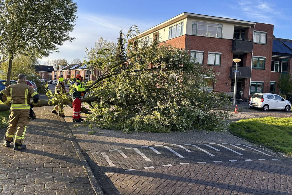 Omgewaaide boom belandt op weg