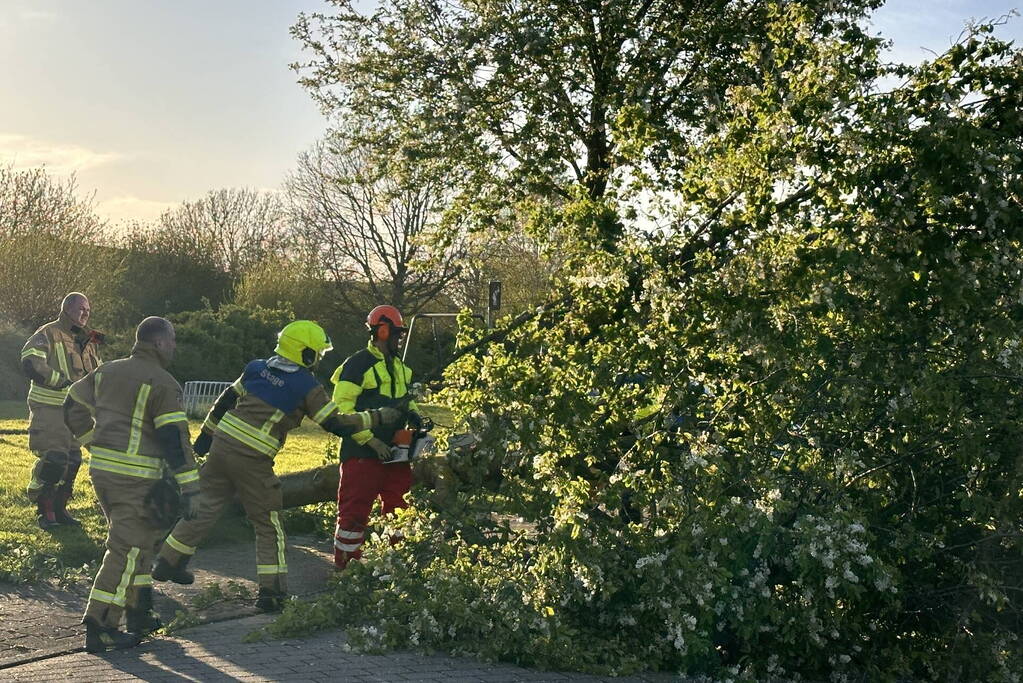 Omgewaaide boom belandt op weg